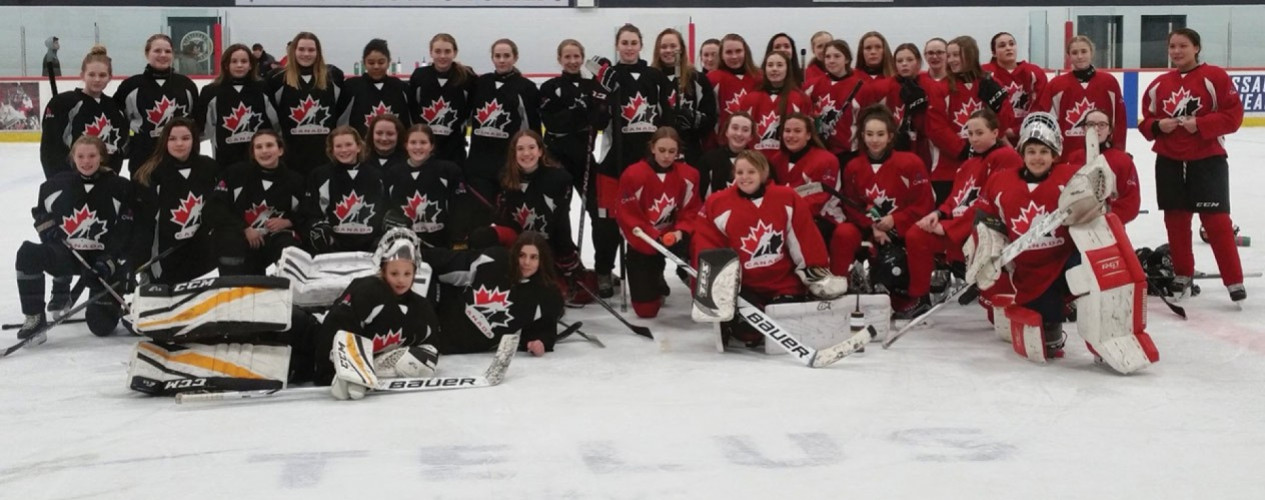 Large Female Hockey Team