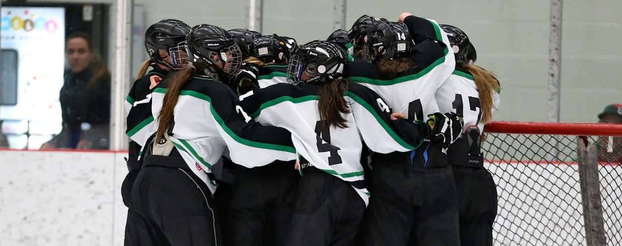 Female Hockey Team Huddle