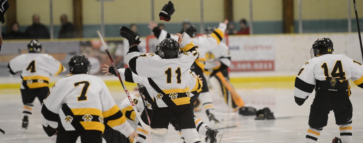 Children Playing Hockey