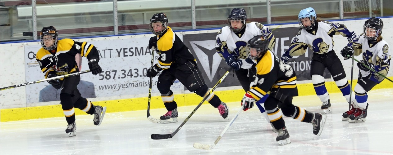 Children Playing Hockey