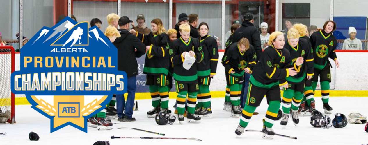 Ice Hockey Rink