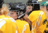 Implementation Process Underway For New Female Hockey Model