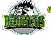 The Humboldt Broncos