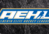 AEHL Celebrates Progress and Looks Toward Next Season at 2021 AGM