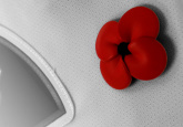 Image: Hockey Alberta logo in black and white and red poppy