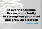 Ladd Foundation’s 1616 initiative helping youth teams focus on mental fitness and wellbeing