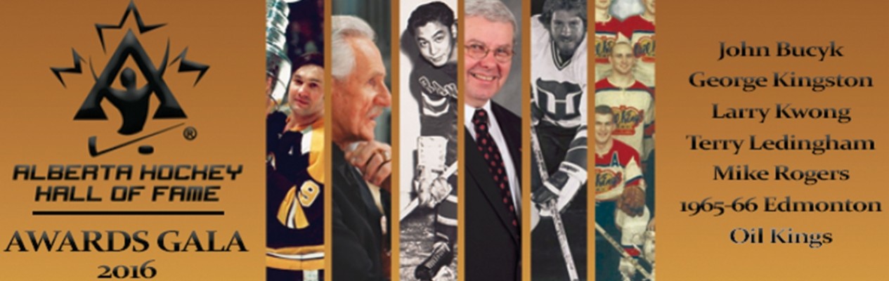 Bruins legend Bucyk highlights 2016 AHHF induction class