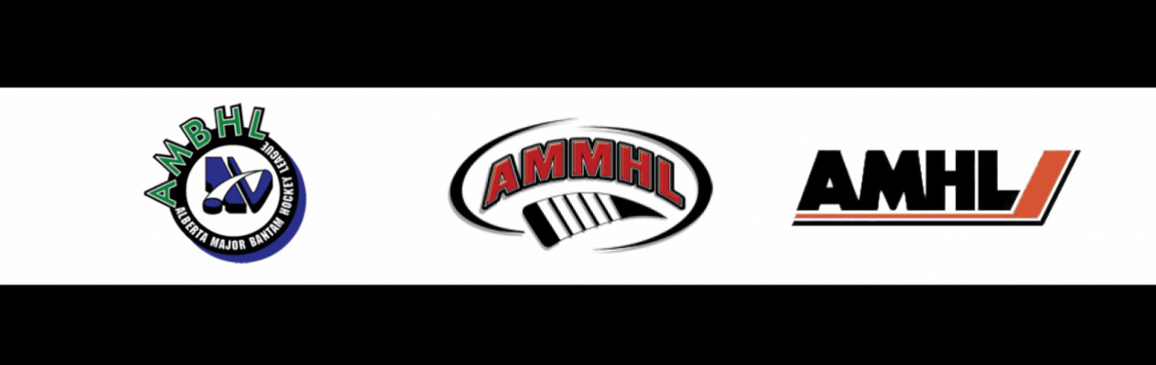 AMHL, AMMHL & AMBHL announce 2019-20 award winners