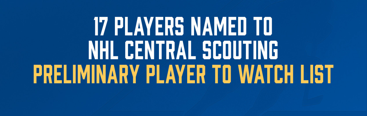 Seventeen Albertans named to NHL Central Scouting’s Preliminary Players to Watch List