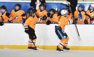 alberta amateur hockey association Alberta amateur hockey association