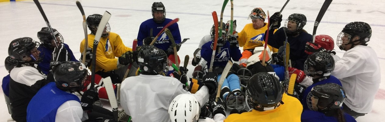 Para Hockey Player Development Camp
