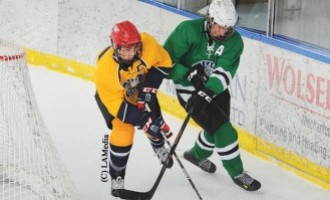 Edmonton Yellow vs Calgary North