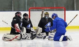 2017 Alberta Hockey Day