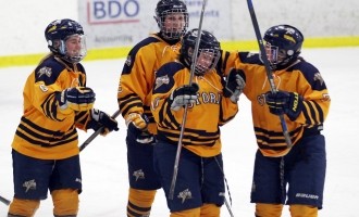 2017 Alberta Hockey Day
