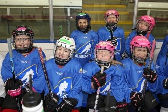 2017 Alberta Hockey Day