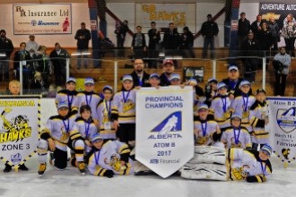 2017 Hockey Alberta Provincial Champions