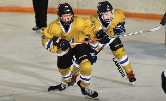 2017 Peewee Prospects Cup