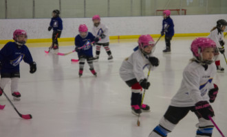 2020 Female Hockey Day