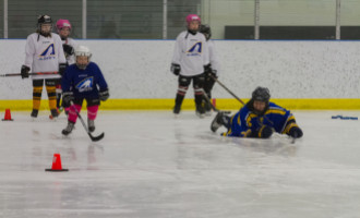 2020 Female Hockey Day