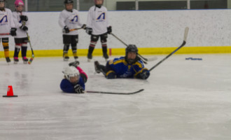 2020 Female Hockey Day