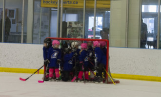 2020 Female Hockey Day