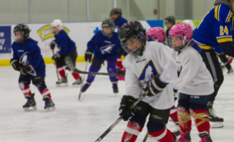 2020 Female Hockey Day
