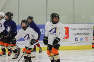 2020 Female Hockey Day