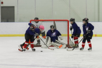 2020 Female Hockey Day