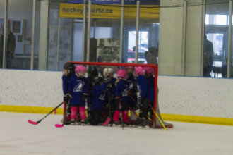 2020 Female Hockey Day