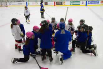 2020 Female Hockey Day