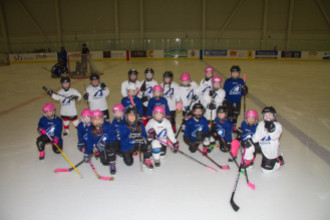 2020 Female Hockey Day