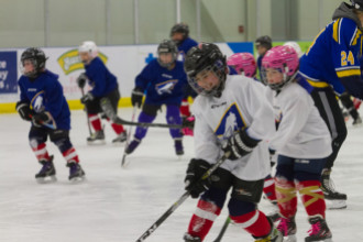 2020 Female Hockey Day