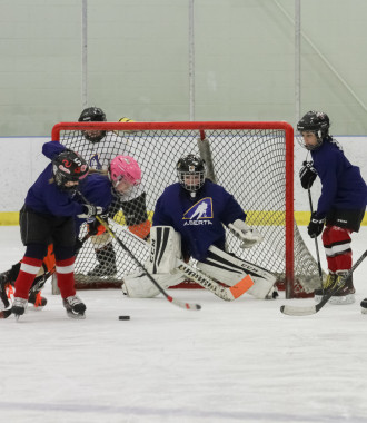 2020 Female Hockey Day