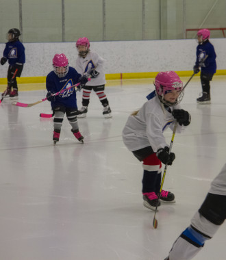 2020 Female Hockey Day