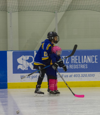 2020 Female Hockey Day