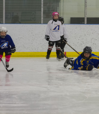 2020 Female Hockey Day