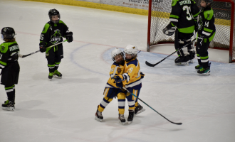 2025 U11AA Showcase
