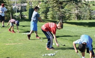 Rink to Links 2016
