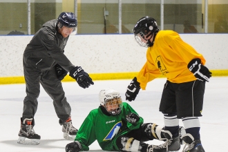 Rinks to Links 2019