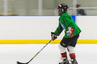 Rinks to Links 2019