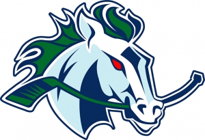 Edmonton Mustangs JRBB - Logo