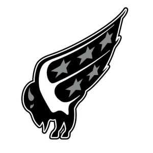 Foothills Bisons AA - Logo