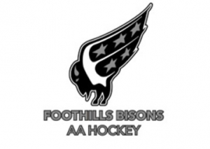 Foothills Bisons AA Hockey - Logo