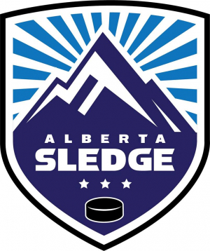 WSA Team Alberta Para Hockey Program - Logo